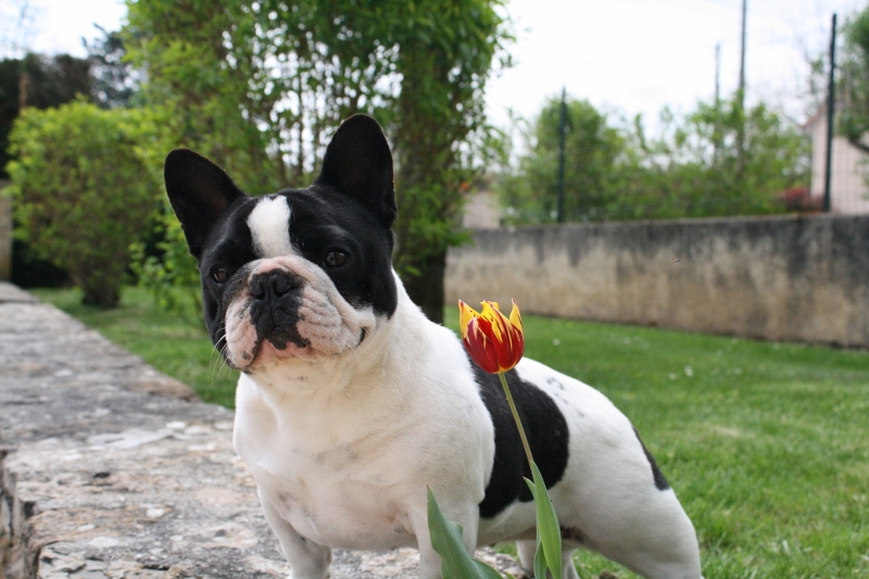 Gala de la Bastide Saint Pierre